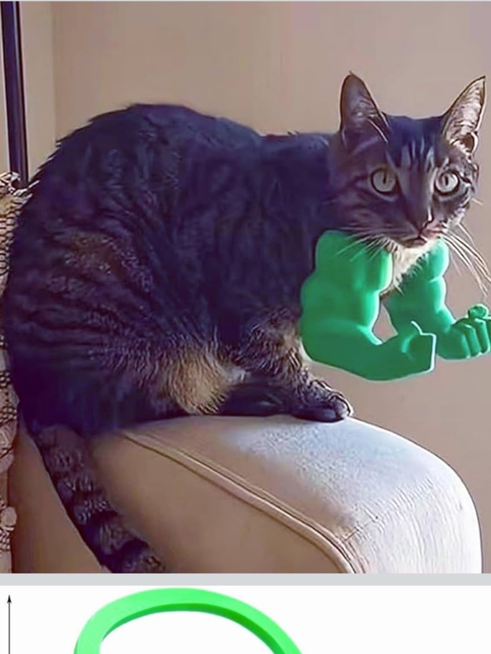Cat Muscle Arms for Cats Neck Funny 3D Printed Arm Cosplay Accessories (Green)